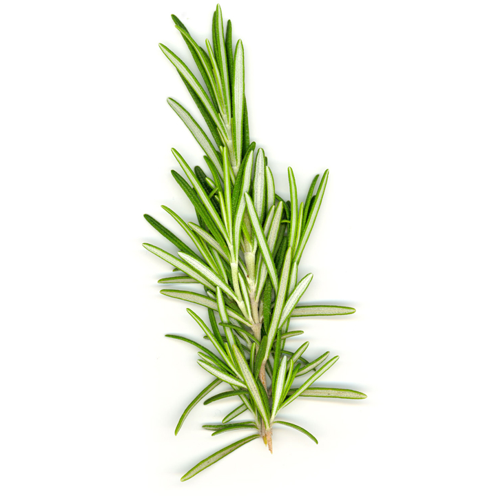 Rosemary