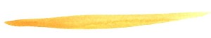yellow2 copy